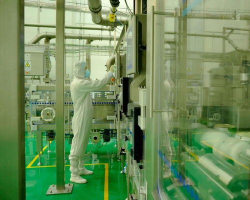 當光陰穿過流水線 現代餐飲管理的效率與溫度